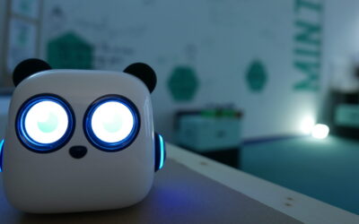 Kleine Entdecker-Programmierparty mit mTiny!