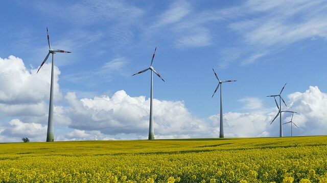 GROWTH – Gemeinsam wachsen, gemeinsam gestalten
