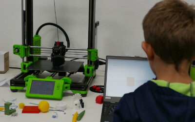 Kreatives 3D-Design mit Tinkercad und 3D-Druck