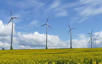 Warum Windkraft?